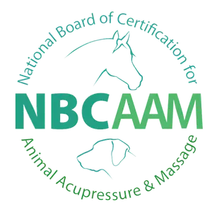 nbcaam logo